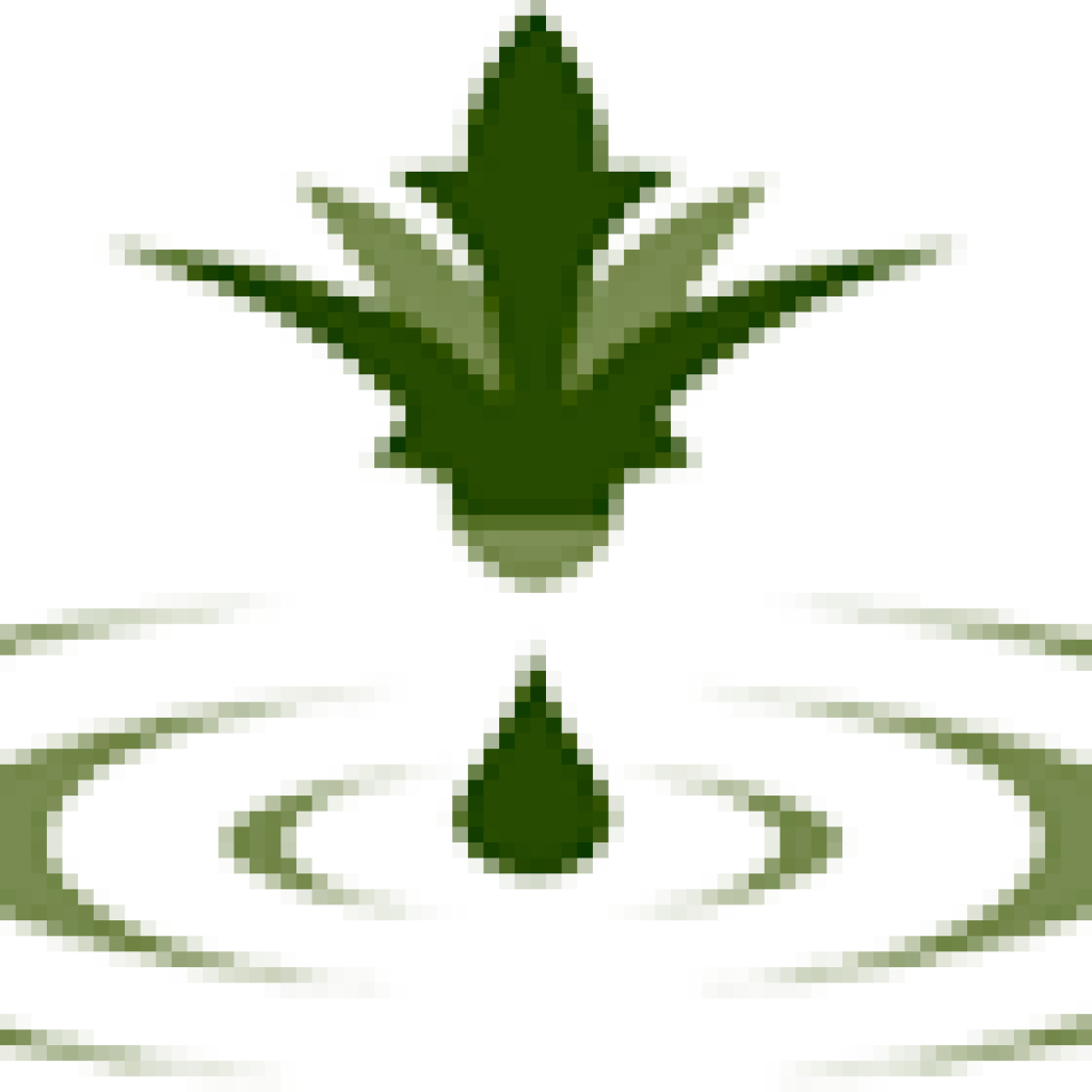 Desert King We are a Jojoba, Quillaja and Yucca extracts supplier.