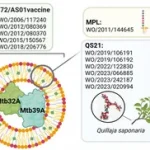 M72/AS01E vaccine